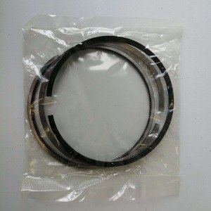 Piston rings NEW HOLLAND - 87343194